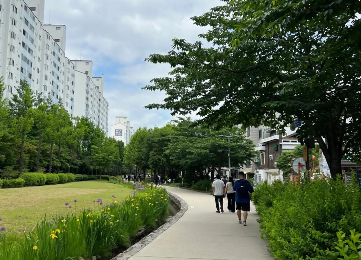 Hongdae Oyo Stay, Free Luggage Keeping, Hongdae Station Green Line And Airport Train Seul